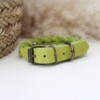 Lime Vetleer Halsband | Subtiele vlecht | Maat S 27-34 cm