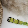 Lime Vetleer Halsband | Subtiele vlecht | Maat S 27-34 cm