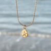 Oceaan Zeester & Schildpad Ketting Goud