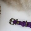 Paars Vetleer Halsband | Robuuste vlecht