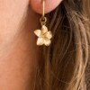 Plumeria oorbellen goud