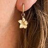 Plumeria oorbellen goud