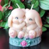 So Hoppy Together