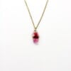 Subtiele Ketting met Facet Hanger Gevuld met Echt Gipskruid uit Den Haag (GirlMeetsDenHaag x CH Design)
