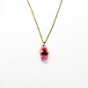 Subtiele Ketting met Facet Hanger Gevuld met Echt Gipskruid uit Den Haag (GirlMeetsDenHaag x CH Design)