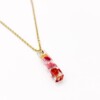 Subtiele Ketting met Lineaire Hanger Gevuld met Echt Gipskruid uit Den Haag (GirlMeetsDenHaag x CH Design)
