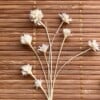 Bamboe Wandhanger naturel met gedroogde bloemen - Botanische Bamboe Kunst - Boho Natuurlijk - Geperste Bloemen