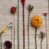 Bamboe Wandhanger Naturelkleur met gedroogde bloemen - Botanische Bamboe Kunst - Boho Natuurlijk - Geperste Bloemen