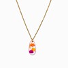 Ketting met Druppelvormige Hanger Gevuld met Echte Bloem uit Den Haag (Fleur de Soleil)