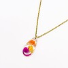 Ketting met Druppelvormige Hanger Gevuld met Echte Bloem uit Den Haag (Fleur de Soleil)