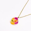 Ketting met Kiezelvormige Hanger Gevuld met Echte Bloem uit Den Haag (Fleur de Soleil)