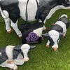 Leren totebag paarse roos