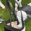 Leren totebag paarse roos