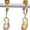Oorbellen met schelphangers. Goudkleurige oorsteker, creool met schelp, in beige écru, in bruin wit, goudkleurige creolen, Per Elle sieraden