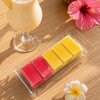 Caribbean Pina Colada waxmelt