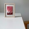 Coral X - een uniek werk van wol