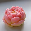 Handgemaakte Bloemenkaarsen - Zachtheid & Sfeer