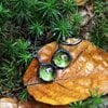 Handgemaakte oorbellen met groen glas en zwart gepatineerd koper