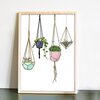 Hanging Beauties – botanische poster met hangplanten