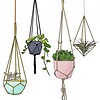 Hanging Beauties – botanische poster met hangplanten