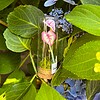 Micro Gehaakte Caladium Broche – Handbeschilderde Blaadjes