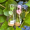 Micro Gehaakte Caladium Broche – Handbeschilderde Blaadjes
