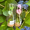 Micro Gehaakte Caladium Broche – Handbeschilderde Blaadjes