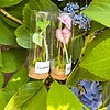 Micro Gehaakte Caladium Broche – Handbeschilderde Blaadjes
