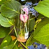 Micro Gehaakte Caladium Broche – Handbeschilderde Blaadjes
