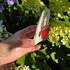 Micro gehaakte klaproos creolen