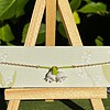 Micro gehaakte lelietje-van-dalen ketting