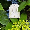 Micro gehaakte mini bloesemoorbellen