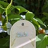 Microgehaakte Hortensia Oorknopjes