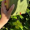 Miniatuur gehaakte chili
