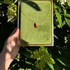 Miniatuur gehaakte chili