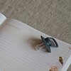Pimpelmees Baby's eerste dagboek
