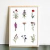Spring Flowers – kleurrijke bloemen poster