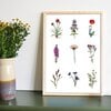 Spring Flowers – kleurrijke bloemen poster