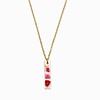Subtiele Ketting met Lineaire Hanger Gevuld met Echt Gipskruid uit Den Haag (GirlMeetsDenHaag x CH Design)