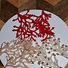 Coral Lace - kralenoorbellen