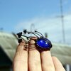 Handgemaakte paddenstoelenbroche met blauw glas en zwart gepatineerd koper