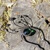 Handgemaakte paddenstoelenhaarvork met groen glas en zwart gepatineerd koper