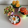Kleurrijke gehaakte plantjes