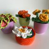 Kleurrijke gehaakte plantjes