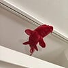 Magnetic Koi fish window art - Dark red