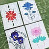 Set van 4 Art Nouveau Bloemen Kaarten