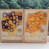 Bijzondere 3D Droogbloemen Kunstwerk van Van Gogh's Zonnebloemen - Unieke Decoratie