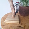 Bonte specht glas in lood