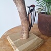 Bonte specht glas in lood