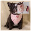 Giftset dog chihuahua